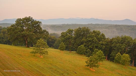 Biltmore Estate Mountain View
