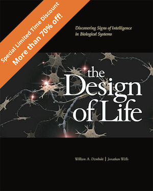 DOL COVER special offer.jpg