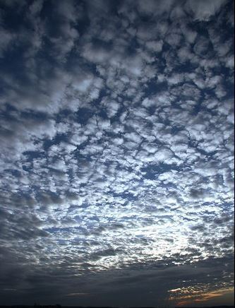 Mackrel Sky
