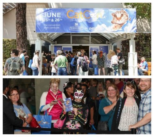 CatCon attendees
