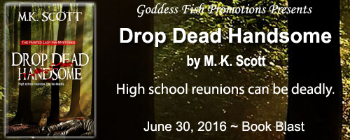 BB_DropDeadHandsome_Banner copy