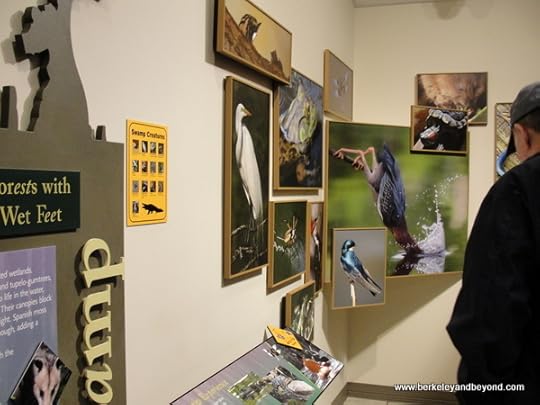 Adventure Point visitor center in Sulphur, Louisiana