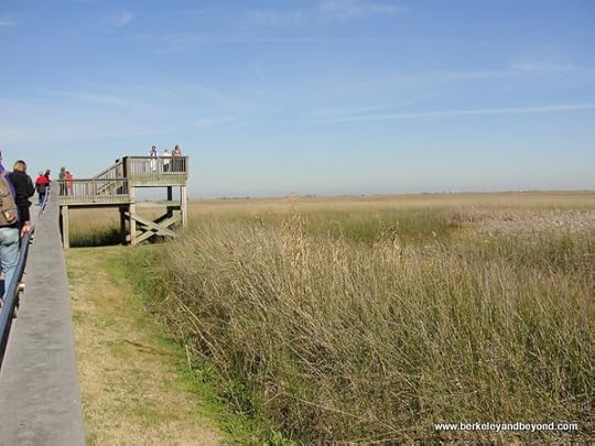 observation tower at Sabine National Wildlife Refuge Wetland Walkway in Louisiana