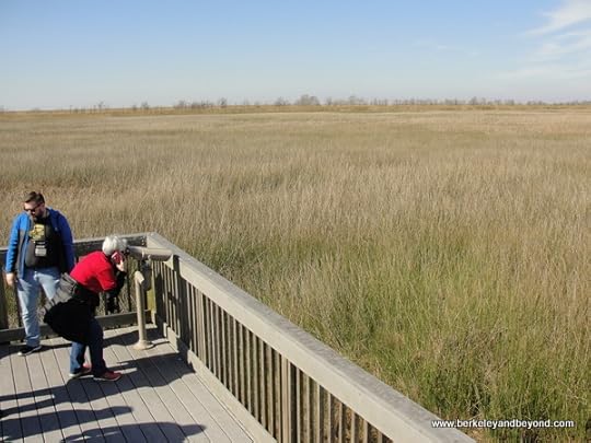 observation deck at Sabine National Wildlife Refuge Wetland Walkway in Louisiana