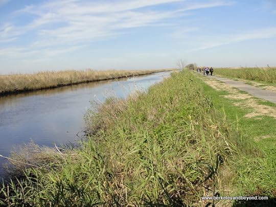 waterside-path at Sabine National Wildlife Refuge Wetland Walkway in Louisiana