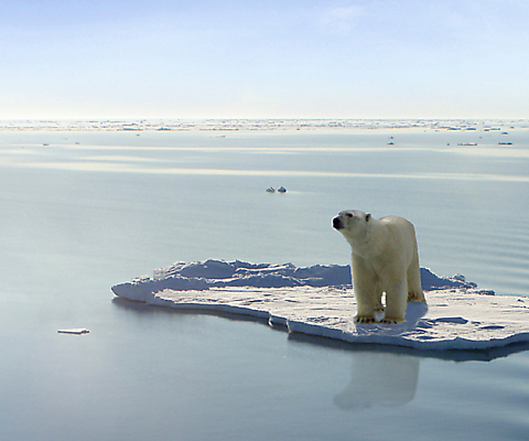 Photo: Broken records define the climate crisis