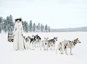 dd5c2a648fce4c62edfcb46a08f3c6ca