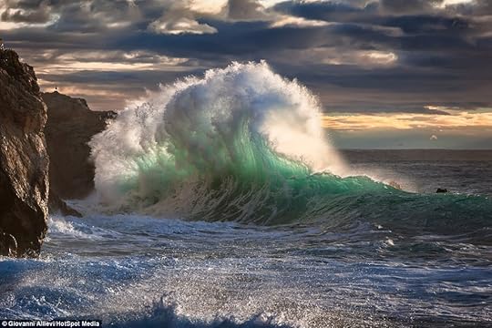 Image and video hosting by TinyPic