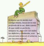 Principito 1
