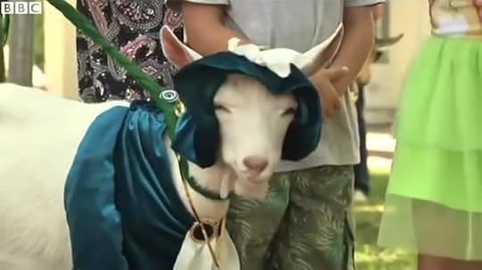 Goat Beauty Pageant