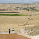 Camino_Spain