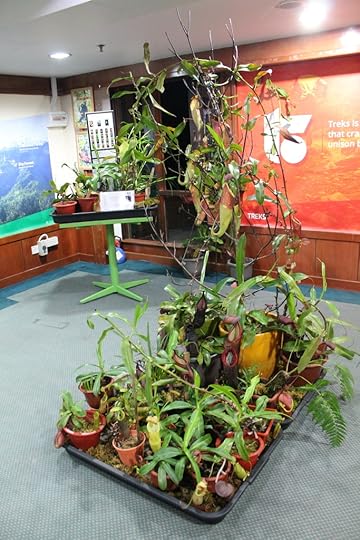  photo IMG_0865_zpsprrrim1s.jpg