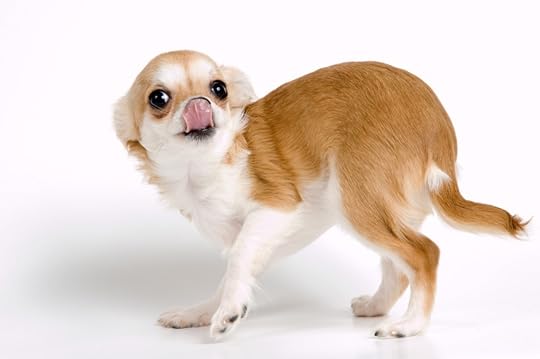 Trembling, crouching, and lip licking can be signs of fear.