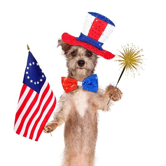 pet fireworks fears