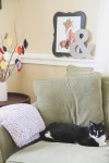 around-the-house-10
