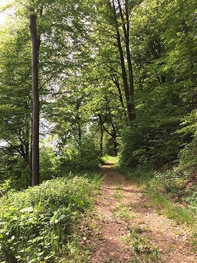 Walking path to the fortress, photo courtesy of Elaine Baskin