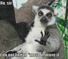 move1