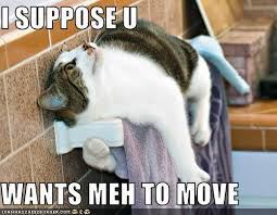 move4