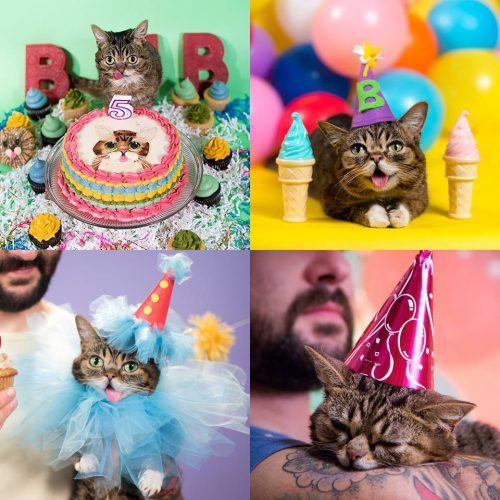 bub birthday