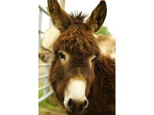 eimage_124_picture (1)