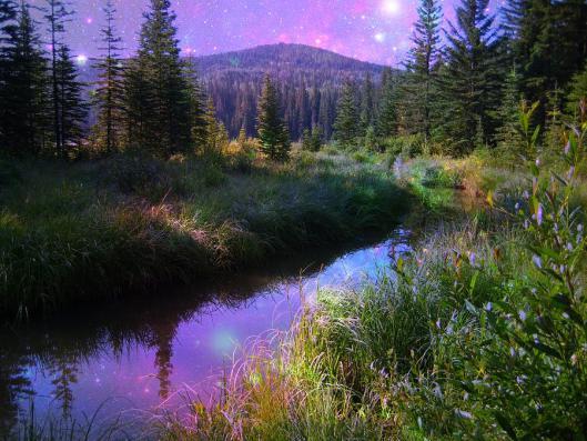 Breath of Serendipity