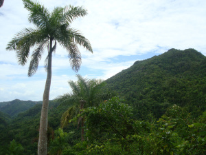 DSC04327