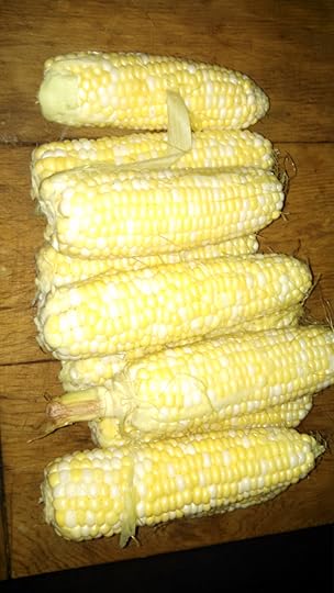 IMG_20160702_150355_614 (1)