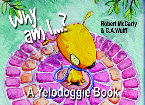 Why am i cover_samp1