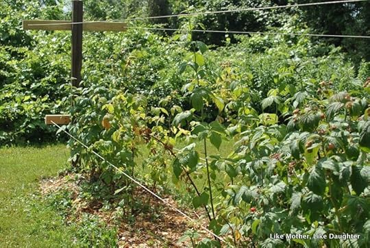 Garden {bits & pieces} ~ Like Mother, Like Daughter