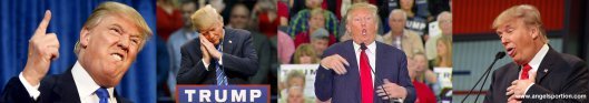 Trump - Angelsportion