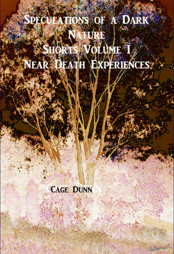 speculations NDE Cover v2