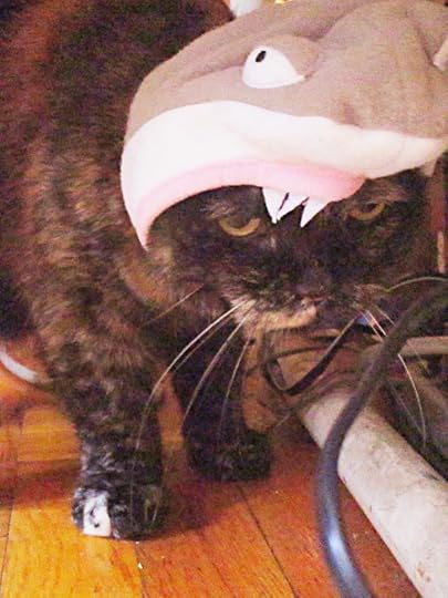  photo IMG_4275_zpsjmxp8t1x.jpg