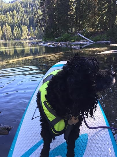 oscarpaddleboard