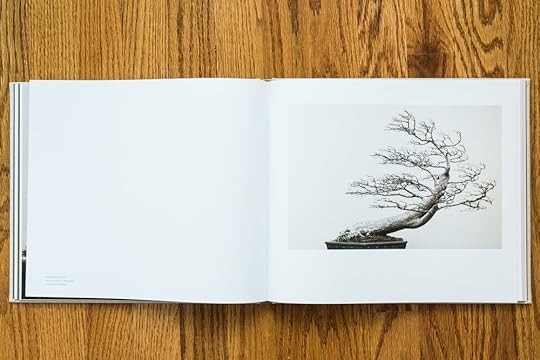 bonsai-book2.jpg