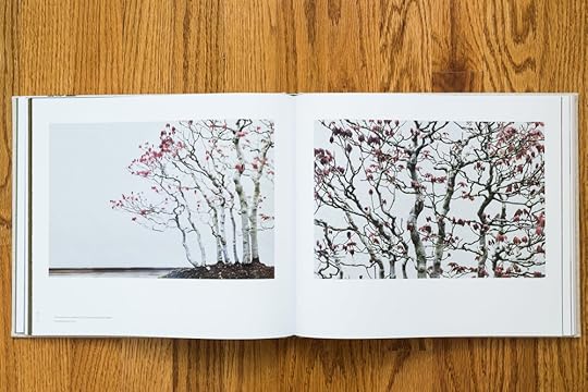 bonsai-book3.jpg