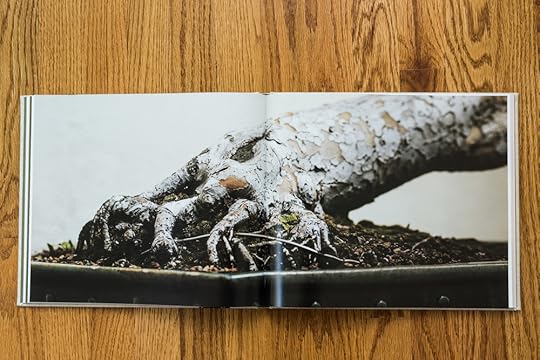 bonsai-book4.jpg
