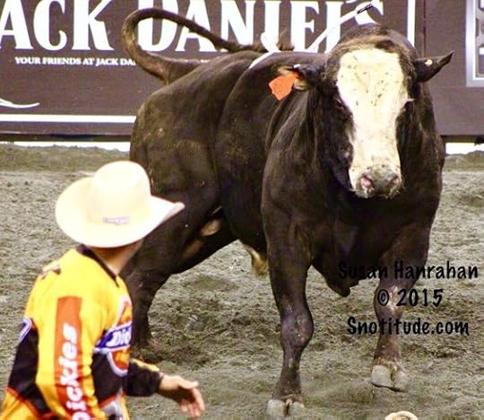 Bull fighter and a bull: