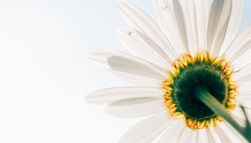 photo-1433208406127-d9e1a0a1f1aa