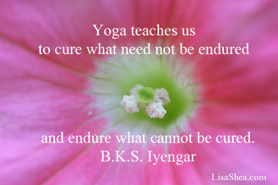 yoga-endure