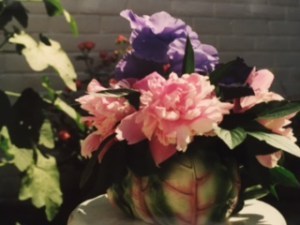 Peonies
