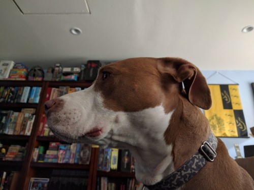 Marlowe Wheaton Watching TV