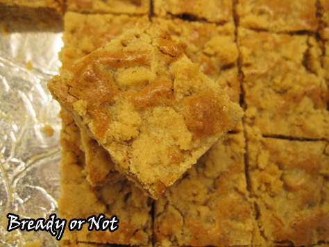 Bready or Not: Peanut Butter Ecstasy Bars