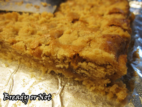 Bready or Not: Peanut Butter Ecstasy Bars