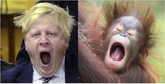 boris amd monkey