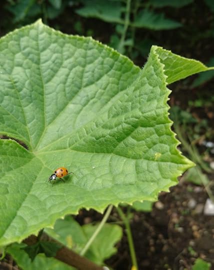 2016-06-30 11.17.09 (2)