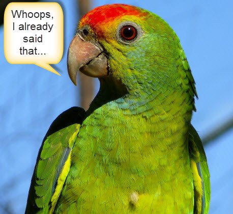Parrot_Tweet