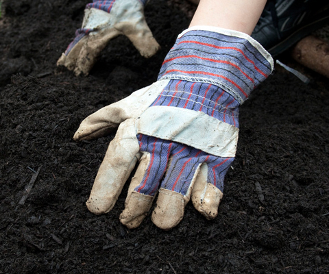 Photo: Dark earth could herald a bright future for agriculture and climate
