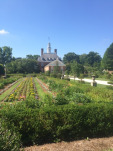 williamsburg