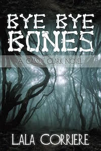 Bye Bye Bones Cover