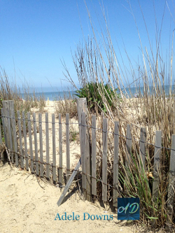 beachdunesigned